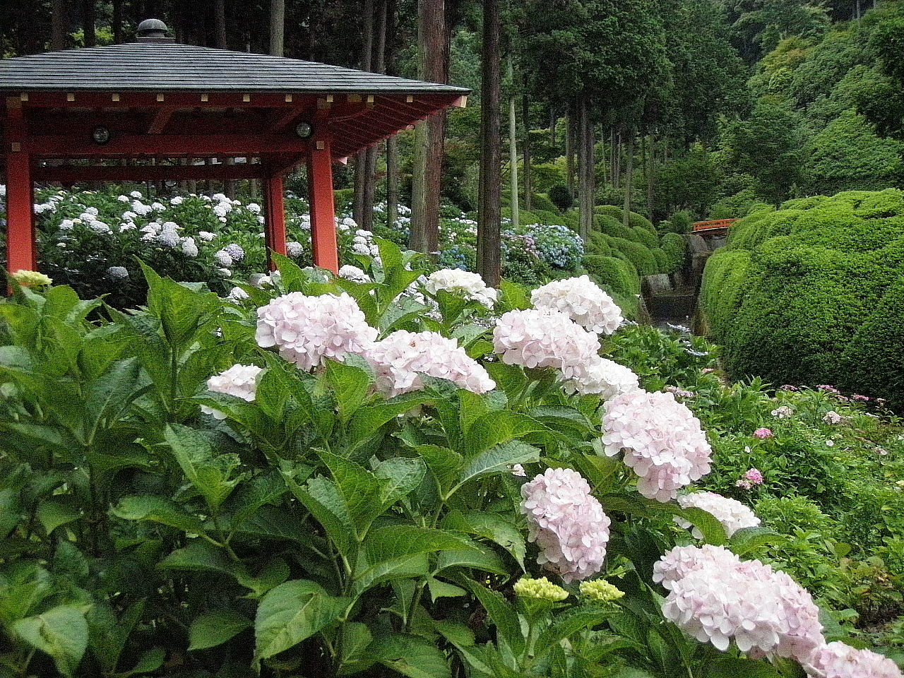 三室戸寺、あんな本こんな本